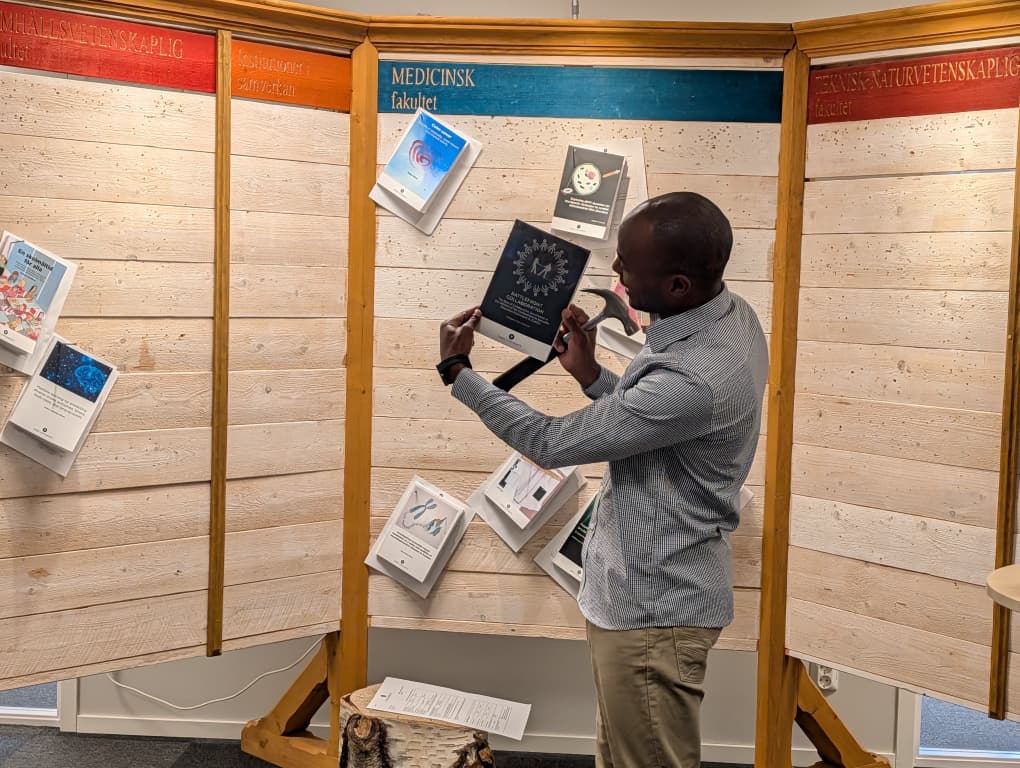 Comprehensive Sexuality Education seminar image - Zambia collaborative governance event